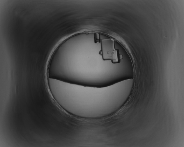 X0000100501488200806130719