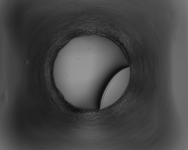 X0000100501489200806130719