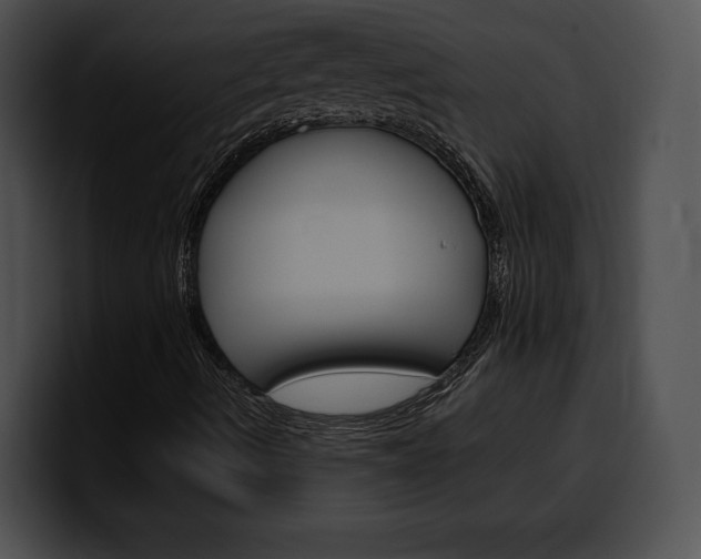 X0000100501490200806130719