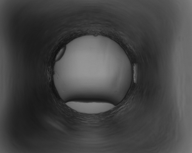 X0000100501491200806130719