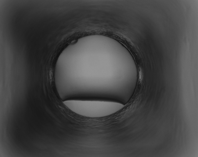 X0000100501492200806130719