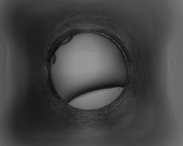 X0000100501493200806130719
