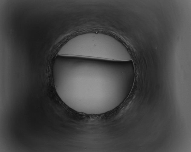 X0000100501494200806130719