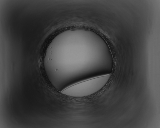 X0000100501495200806130719