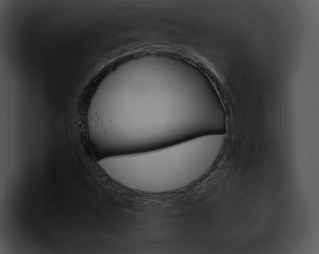 X0000100501496200806130719