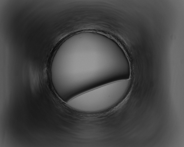 X0000100501497200806130719