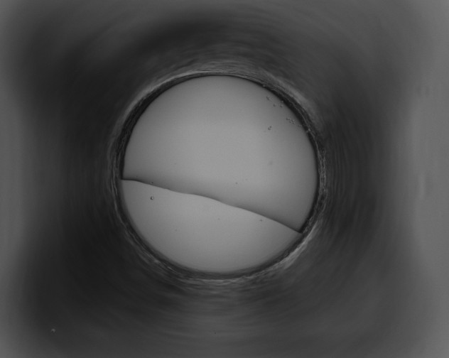 X0000100501498200806130719