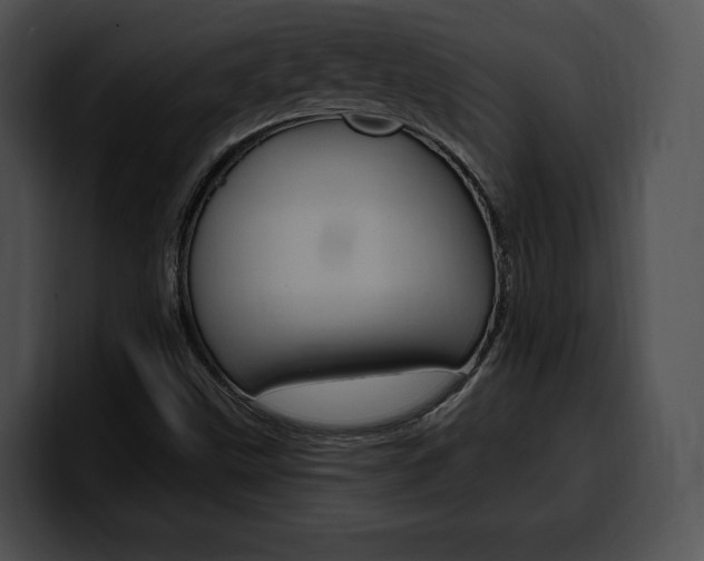 X0000100501499200806130719