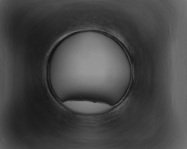 X0000100501500200806130719
