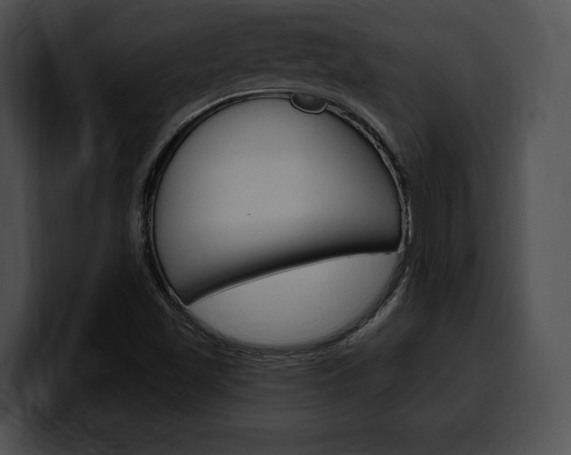 X0000100501501200806130719
