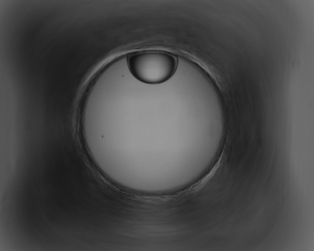 X0000100501502200806130719