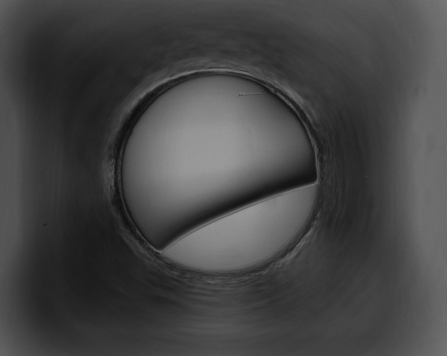 X0000100501503200806130719