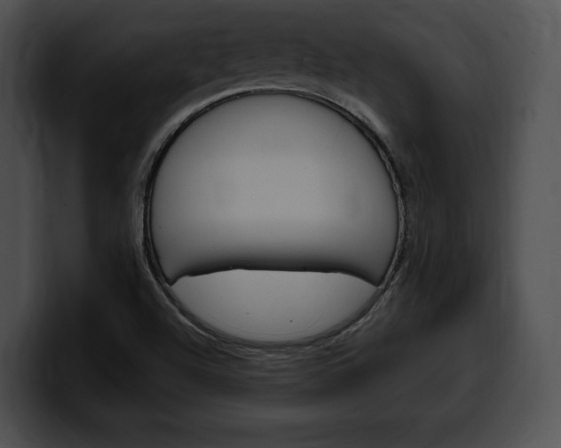 X0000100501504200806130719