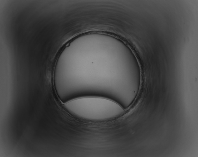 X0000100501505200806130719