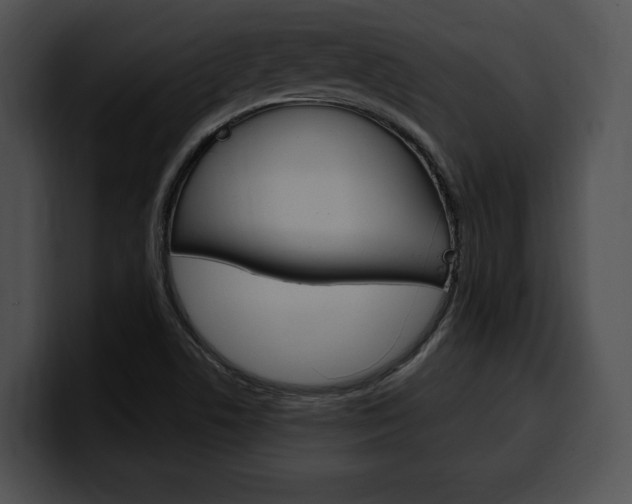 X0000100501506200806130719