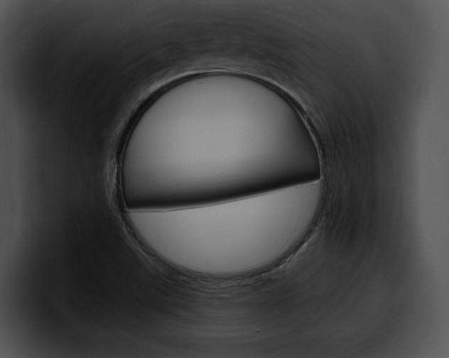 X0000100501507200806130719