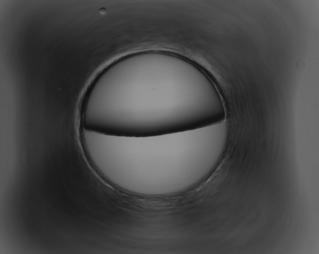 X0000100501508200806130719