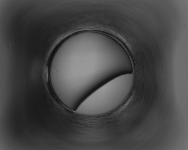 X0000100501509200806130719