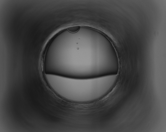 X0000100501510200806130719