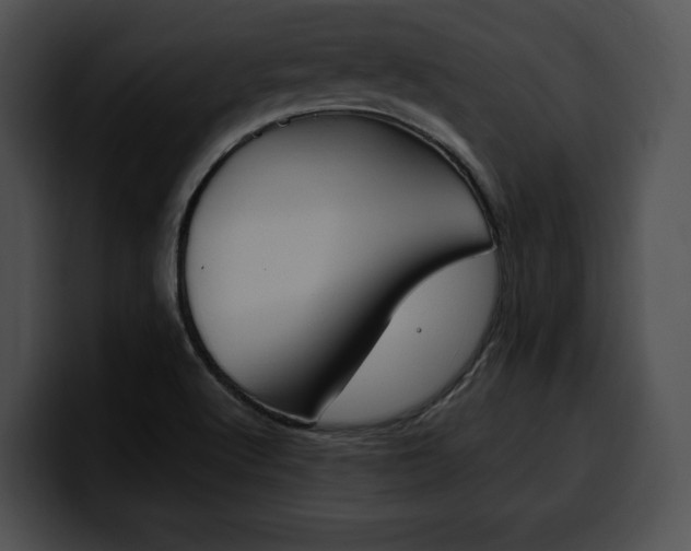 X0000100501512200806130719