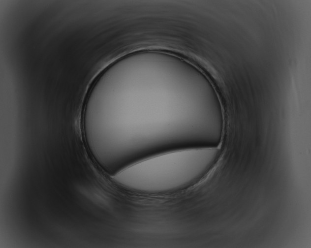 X0000100501513200806130719