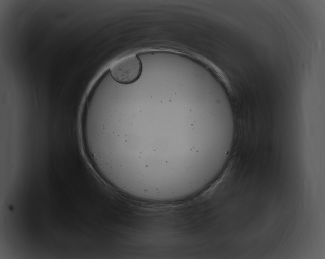 X0000100501514200806130719