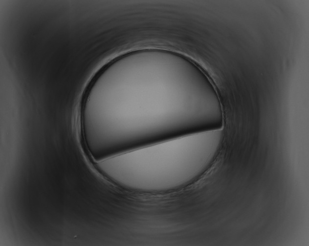X0000100501515200806130719
