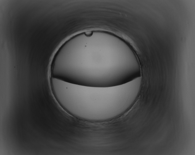 X0000100501516200806130719