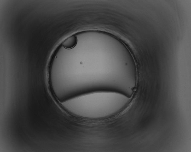 X0000100501517200806130719