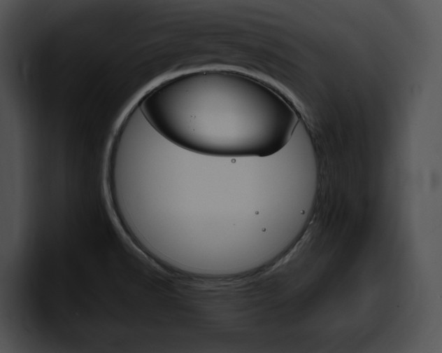 X0000100501518200806130719