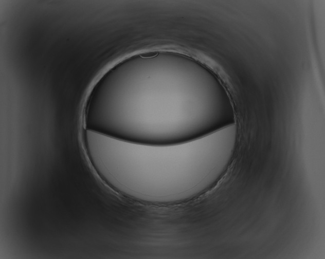 X0000100501520200806130719
