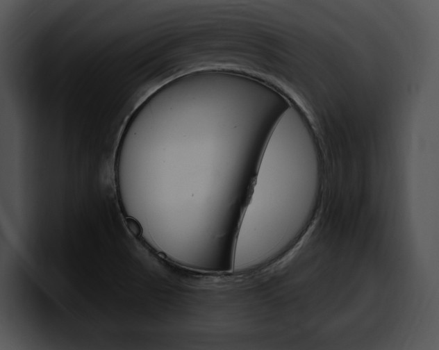 X0000100501521200806130719