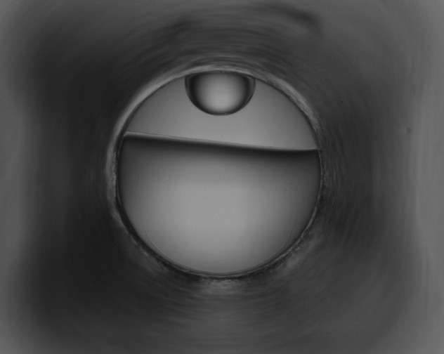 X0000100501522200806130719