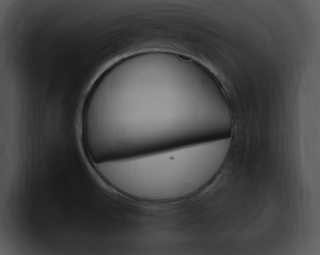 X0000100501523200806130719