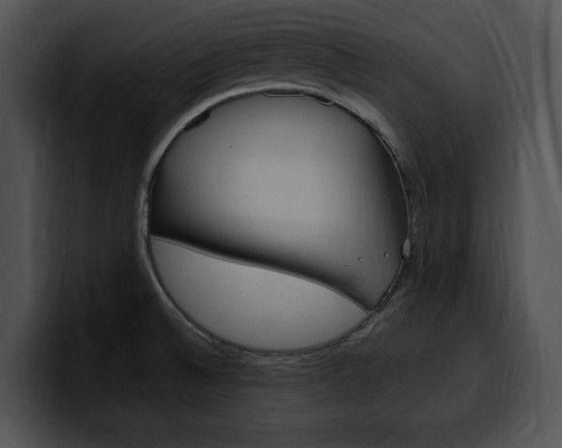 X0000100501524200806130719