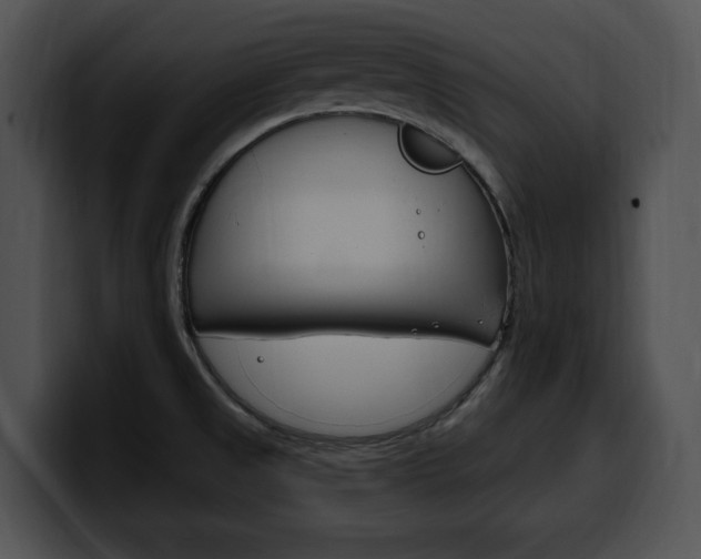 X0000100501525200806130719
