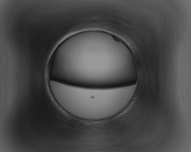 X0000100501526200806130719