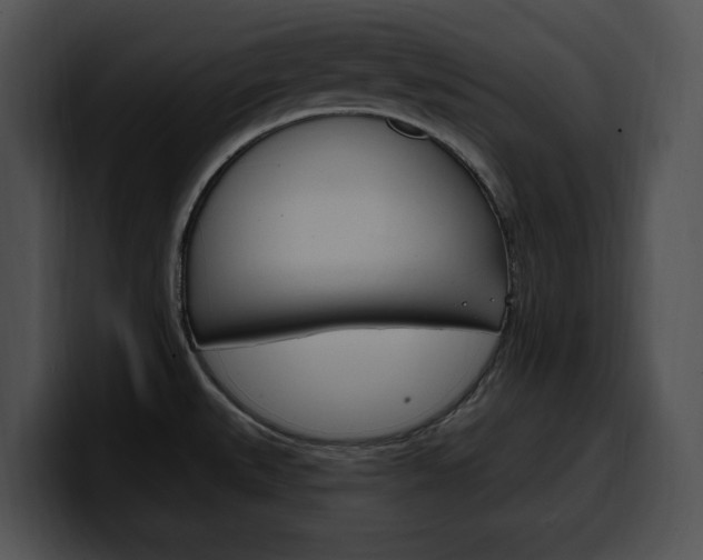 X0000100501527200806130719