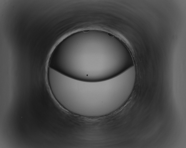 X0000100501528200806130719
