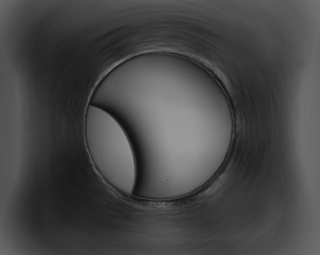 X0000100501529200806130719
