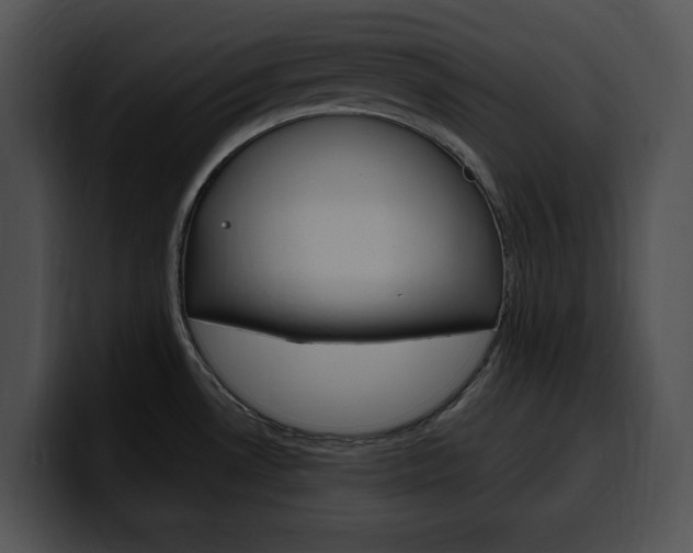 X0000100501530200806130719