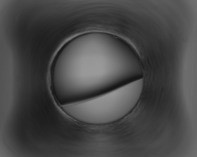 X0000100501531200806130719
