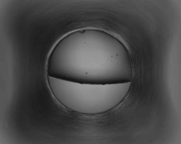 X0000100501532200806130719