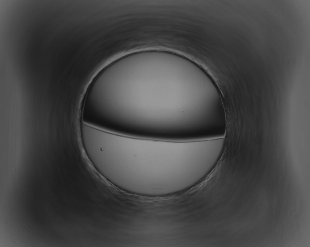 X0000100501534200806130719
