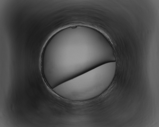 X0000100501535200806130719