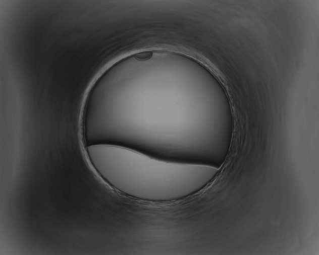 X0000100501536200806130719