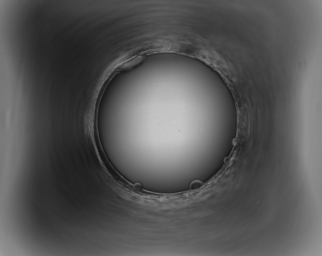 X0000100500003200806131445