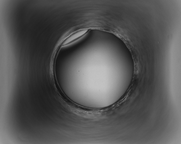 X0000100500004200806131445