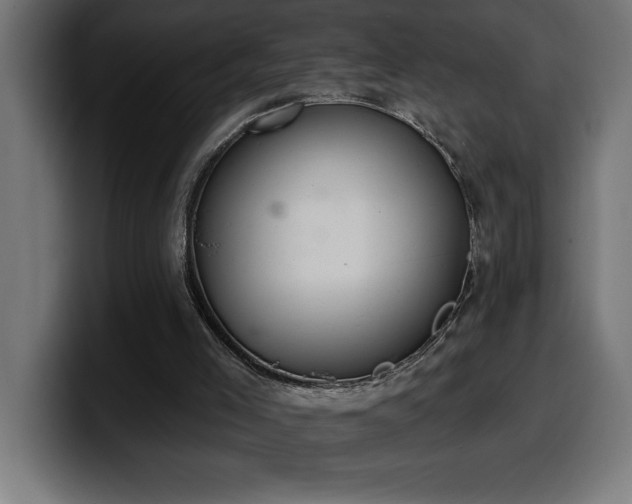 X0000100500005200806131445