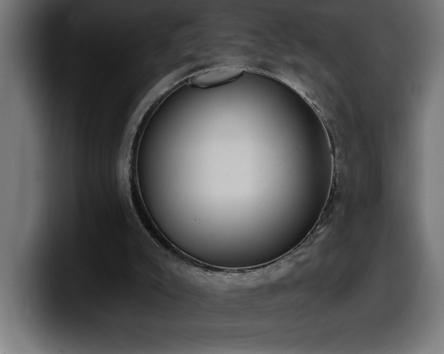 X0000100500007200806131445